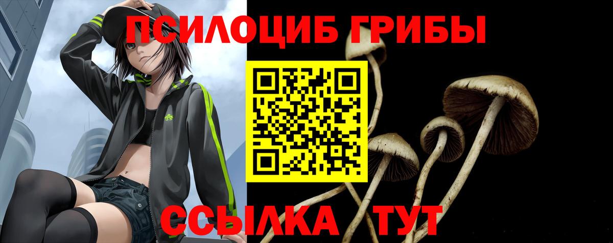 Лабытнанги  Галлюциногенные грибы GOLDEN TEACHER  Вход с VPN  Псилоцибиновые грибы GOLDEN TEACHER 
